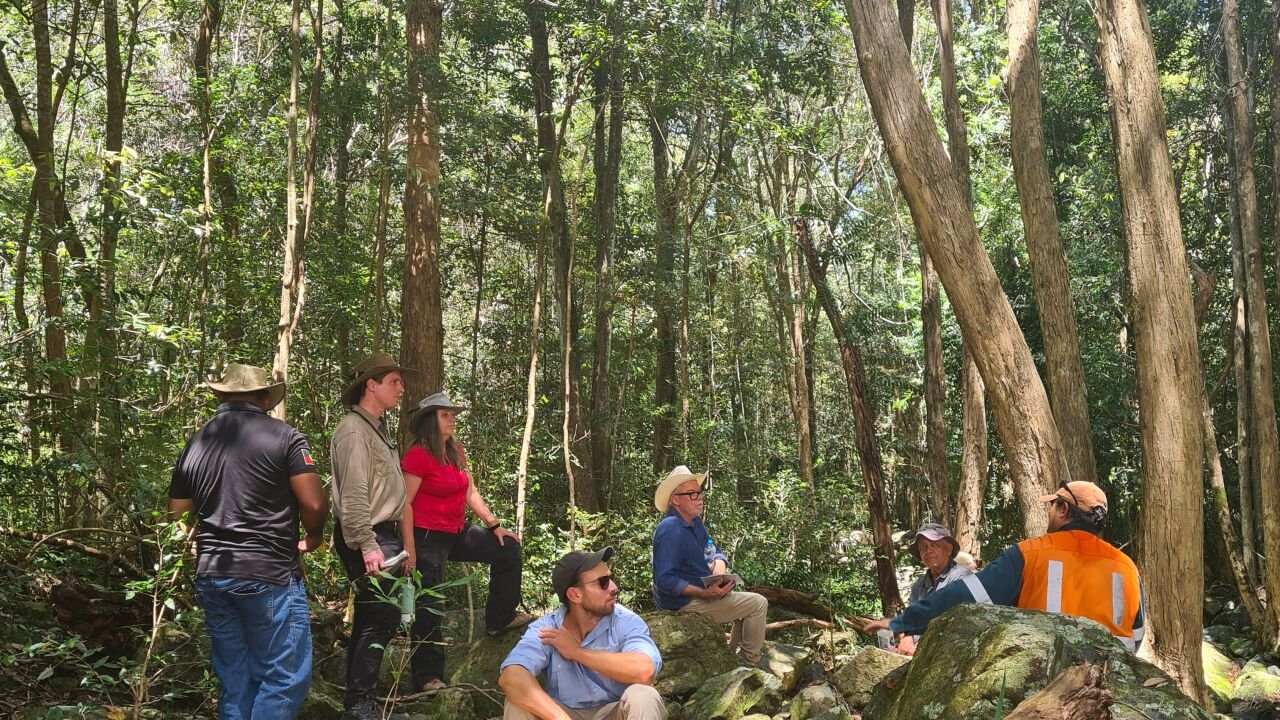 Mount Ninderry Public Involvement Plan Sunshine Coast Council