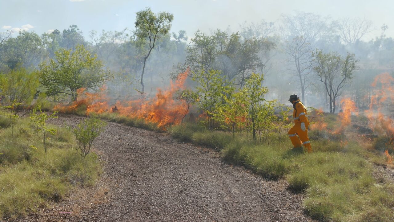 Carpentaria Land Council Aboriginal Corporation Land and Environment Strategic Plan