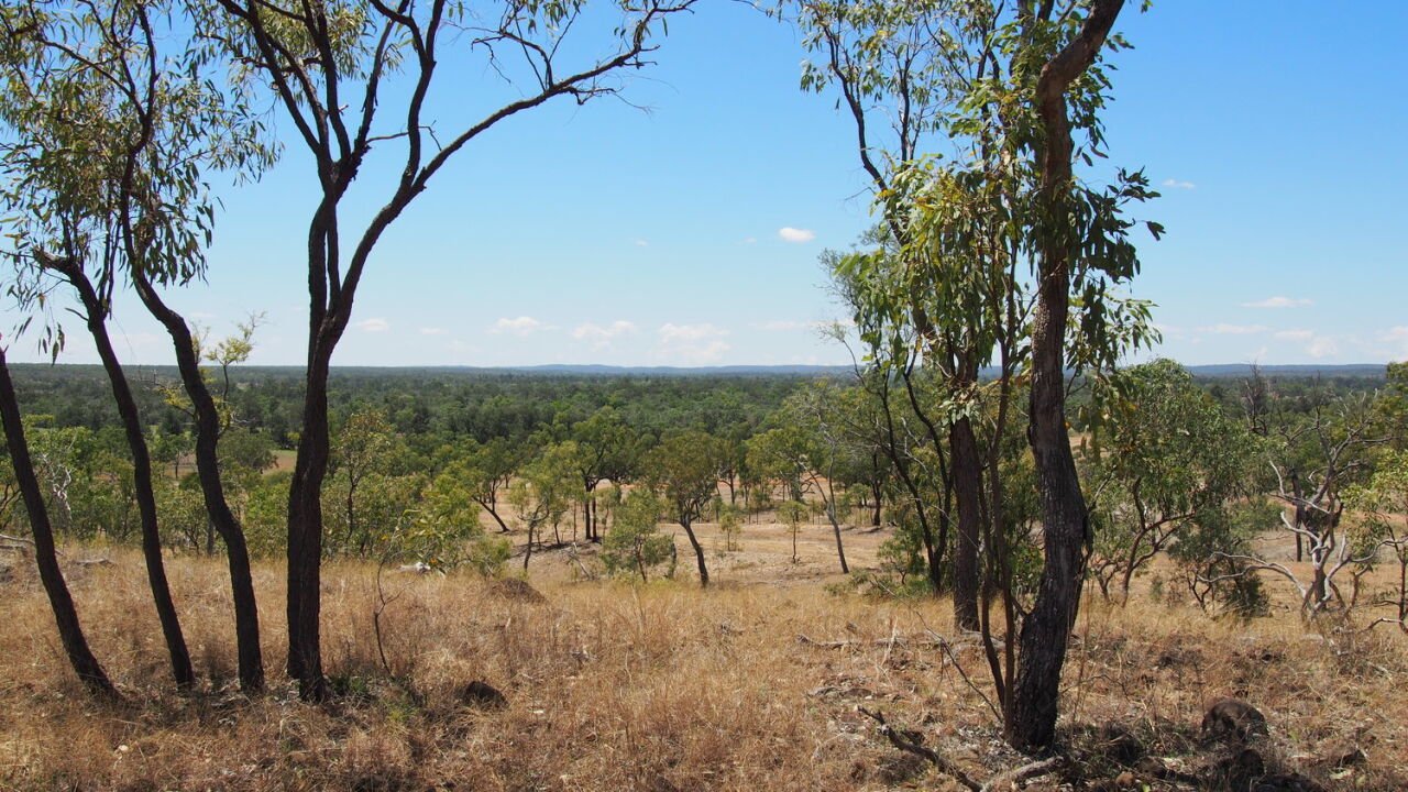 Whole of Country Tourism Strategy Gugu Badhun Aboriginal Corporation