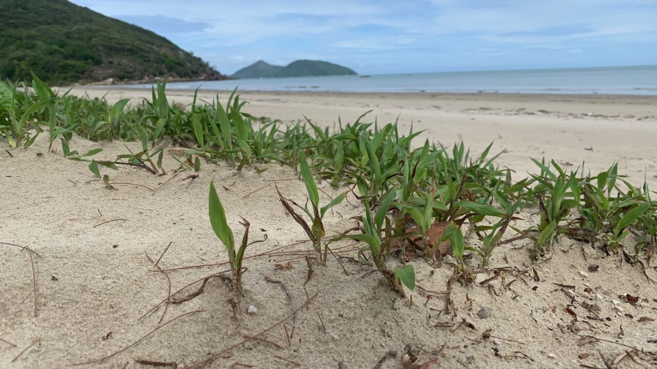 Yarrabah Retail Centre Briefing Economic Development Queensland