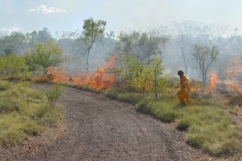 Carpentaria Land Council Aboriginal Corporation Land and Environment Strategic Plan